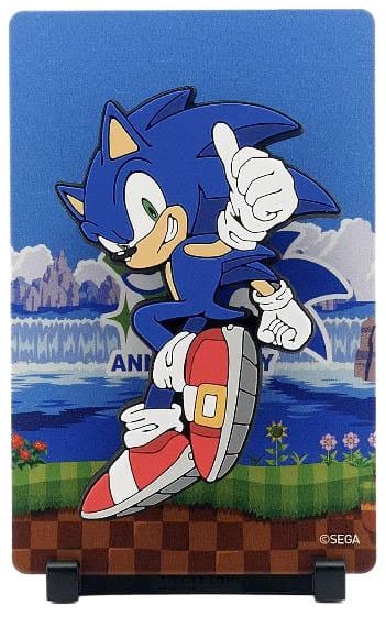 Sonic The Hedgehog FiGGYZ Magnet-Sammelfigur OGz Sonic 35th Anniversary 9 cm