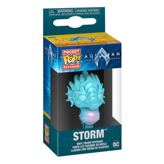 Aquaman and the Lost Kingdom POP! Vinyl Schlüsselanhänger 4 cm Storm Display (12)