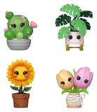 Flora POP! Vinyl Figuren Flora Black Friday 4PK 9 cm