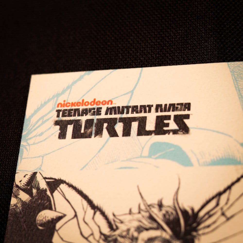 Teenage Mutant Ninja Turtles Kunstdruck Comic Limited Edition 42 x 30 cm