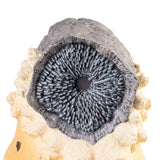 Dune Buchstützen 17 cm