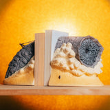 Dune Buchstützen 17 cm