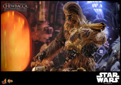 Star Wars Episode V Movie Masterpiece 1/6 Chewbacca with Disassembled C-3PO  HOT TOYS