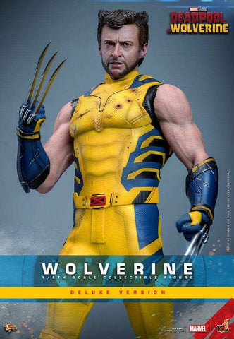 Deadpool & Wolverine Movie Masterpiece 1/6 Wolverine (Deluxe Version) 31 cm HOT TOYS - Smalltinytoystore