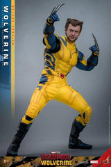 Deadpool & Wolverine Movie Masterpiece 1/6 Wolverine (Deluxe Version) 31 cm HOT TOYS - Smalltinytoystore