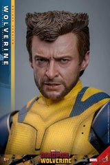 Deadpool & Wolverine Movie Masterpiece 1/6 Wolverine (Deluxe Version) 31 cm HOT TOYS - Smalltinytoystore