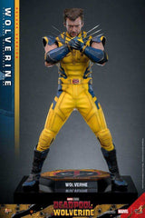 Deadpool & Wolverine Movie Masterpiece 1/6 Wolverine (Deluxe Version) 31 cm HOT TOYS - Smalltinytoystore