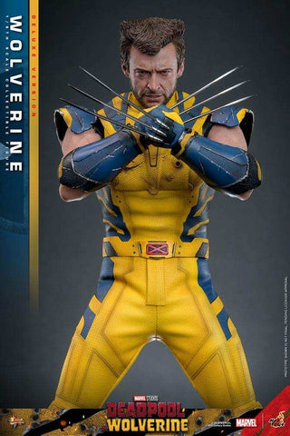 Deadpool & Wolverine Movie Masterpiece 1/6 Wolverine (Deluxe Version) 31 cm HOT TOYS - Smalltinytoystore