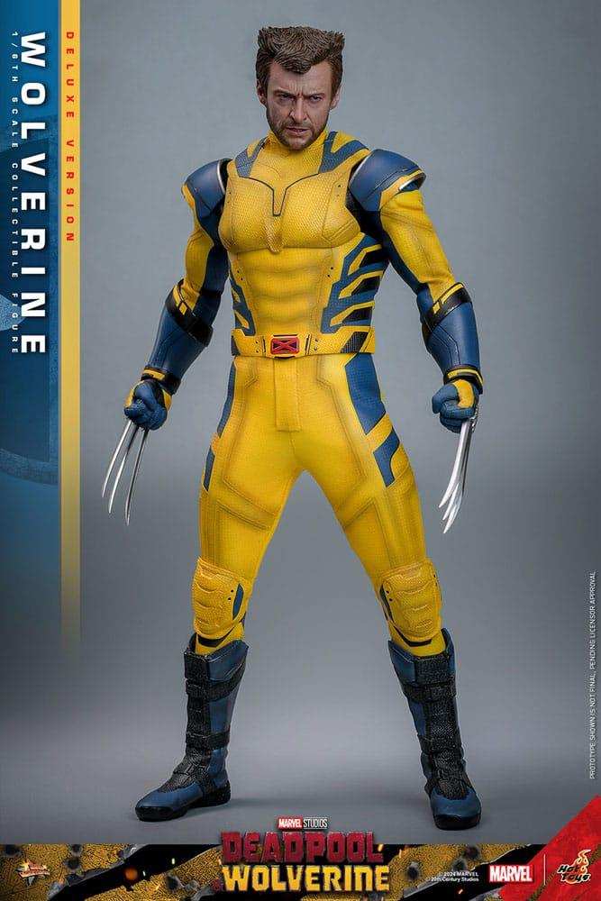 Deadpool & Wolverine Movie Masterpiece 1/6 Wolverine (Deluxe Version) 31 cm HOT TOYS - Smalltinytoystore