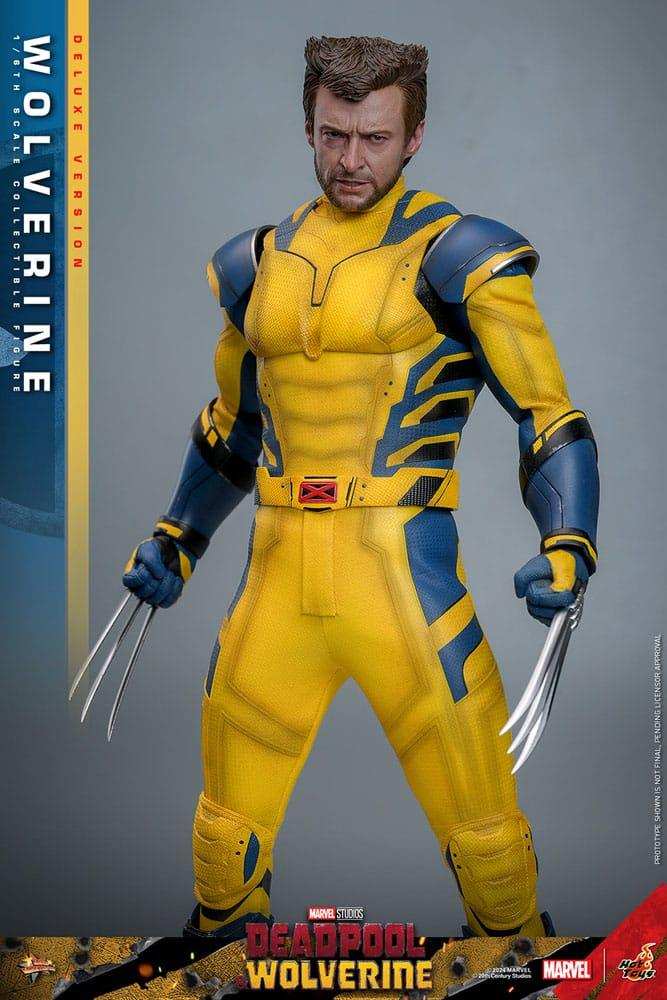 Deadpool & Wolverine Movie Masterpiece 1/6 Wolverine (Deluxe Version) 31 cm HOT TOYS - Smalltinytoystore