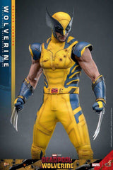 Deadpool & Wolverine Movie Masterpiece 1/6 Wolverine (Deluxe Version) 31 cm HOT TOYS - Smalltinytoystore