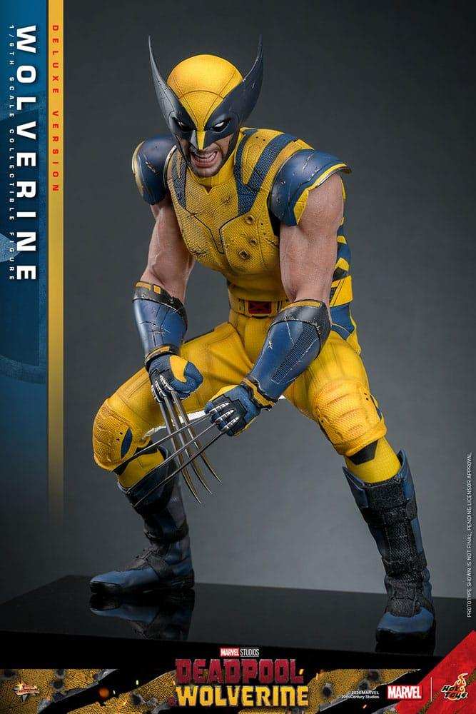 Deadpool & Wolverine Movie Masterpiece 1/6 Wolverine (Deluxe Version) 31 cm HOT TOYS - Smalltinytoystore