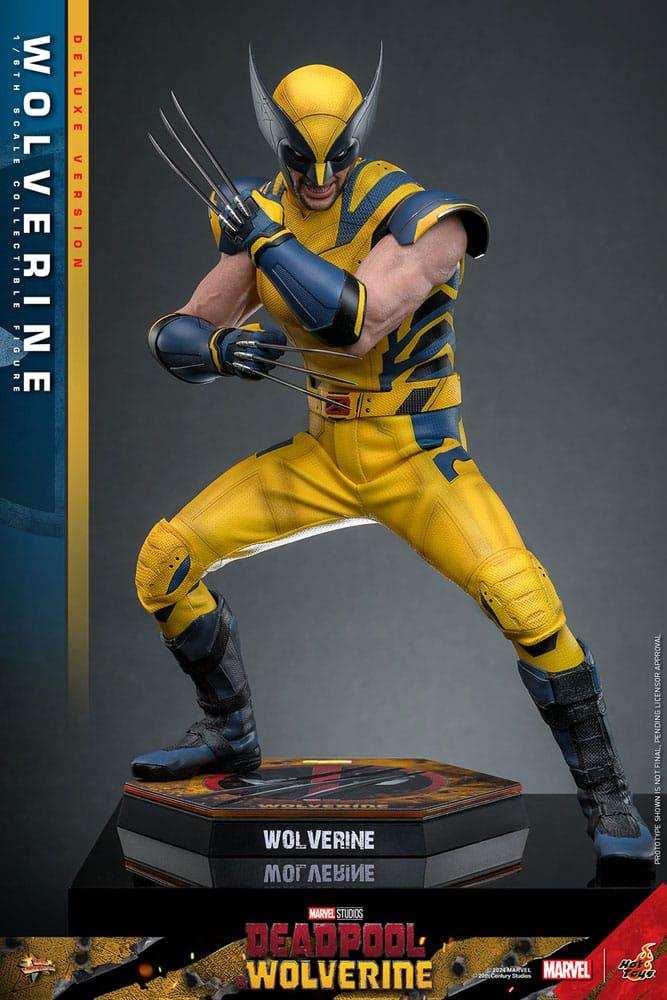 Deadpool & Wolverine Movie Masterpiece 1/6 Wolverine (Deluxe Version) 31 cm HOT TOYS - Smalltinytoystore