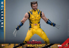 Deadpool & Wolverine Movie Masterpiece 1/6 Wolverine (Deluxe Version) 31 cm HOT TOYS - Smalltinytoystore