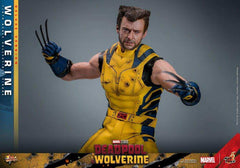 Deadpool & Wolverine Movie Masterpiece 1/6 Wolverine (Deluxe Version) 31 cm HOT TOYS - Smalltinytoystore