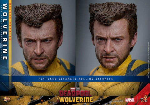 Deadpool & Wolverine Movie Masterpiece 1/6 Wolverine (Deluxe Version) 31 cm HOT TOYS - Smalltinytoystore