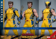 Deadpool & Wolverine Movie Masterpiece 1/6 Wolverine (Deluxe Version) 31 cm HOT TOYS - Smalltinytoystore