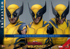 Deadpool & Wolverine Movie Masterpiece 1/6 Wolverine (Deluxe Version) 31 cm HOT TOYS - Smalltinytoystore