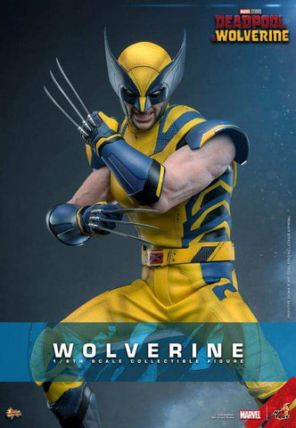 Deadpool & Wolverine Movie Masterpiece 1/6 Wolverine 31 cm HOT TOYS - Smalltinytoystore