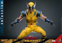 Deadpool & Wolverine Movie Masterpiece 1/6 Wolverine 31 cm HOT TOYS - Smalltinytoystore