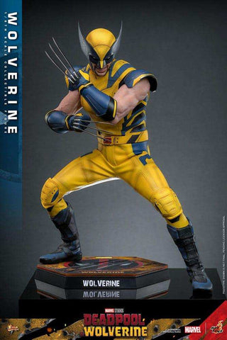 Deadpool & Wolverine Movie Masterpiece 1/6 Wolverine 31 cm HOT TOYS - Smalltinytoystore