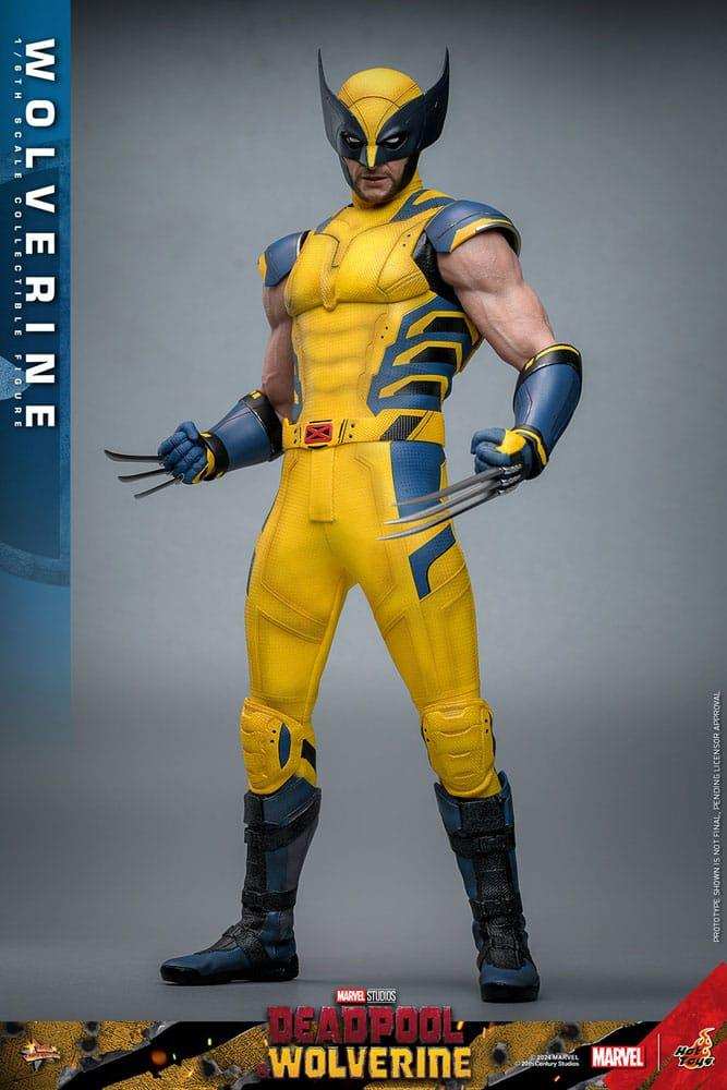 Deadpool & Wolverine Movie Masterpiece 1/6 Wolverine 31 cm HOT TOYS - Smalltinytoystore