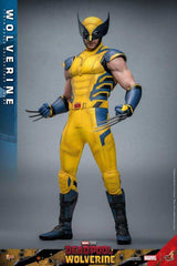 Deadpool & Wolverine Movie Masterpiece 1/6 Wolverine 31 cm HOT TOYS - Smalltinytoystore