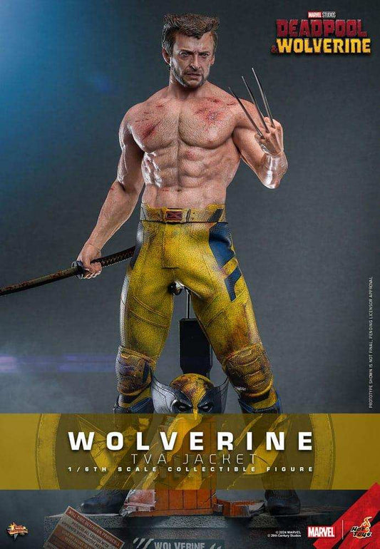 Deadpool & Wolverine Movie Masterpiece  1/6 Wolverine (TVA Jacket Version) HOT TOYS