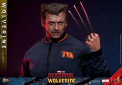 Deadpool & Wolverine Movie Masterpiece  1/6 Wolverine (TVA Jacket Version) HOT TOYS