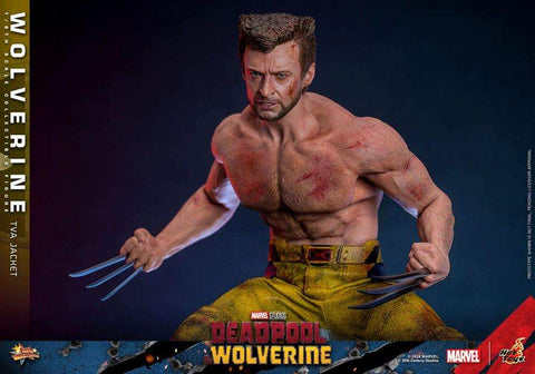 Deadpool & Wolverine Movie Masterpiece  1/6 Wolverine (TVA Jacket Version) HOT TOYS