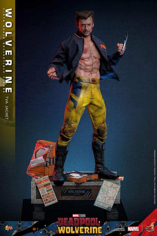 Deadpool & Wolverine Movie Masterpiece  1/6 Wolverine (TVA Jacket Version) HOT TOYS