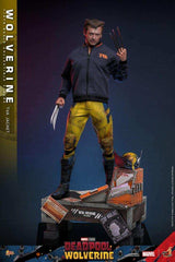 Deadpool & Wolverine Movie Masterpiece  1/6 Wolverine (TVA Jacket Version) HOT TOYS