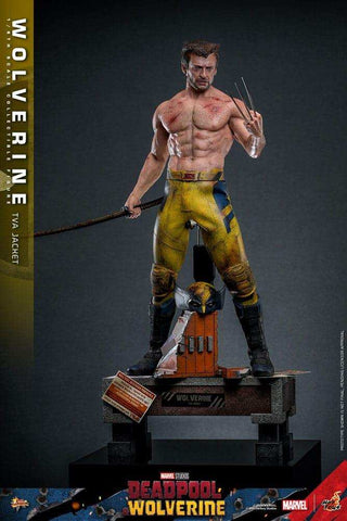 Deadpool & Wolverine Movie Masterpiece  1/6 Wolverine (TVA Jacket Version) HOT TOYS