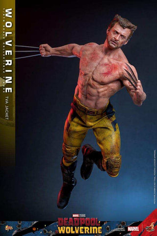 Deadpool & Wolverine Movie Masterpiece  1/6 Wolverine (TVA Jacket Version) HOT TOYS