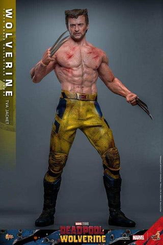 Deadpool & Wolverine Movie Masterpiece  1/6 Wolverine (TVA Jacket Version) HOT TOYS