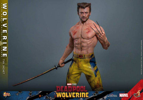 Deadpool & Wolverine Movie Masterpiece  1/6 Wolverine (TVA Jacket Version) HOT TOYS