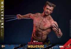 Deadpool & Wolverine Movie Masterpiece  1/6 Wolverine (TVA Jacket Version) HOT TOYS