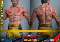 Deadpool & Wolverine Movie Masterpiece  1/6 Wolverine (TVA Jacket Version) HOT TOYS