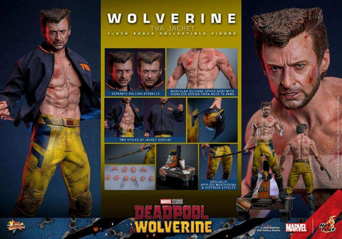 Deadpool & Wolverine Movie Masterpiece  1/6 Wolverine (TVA Jacket Version) HOT TOYS