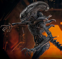 Alien: Romulus Movie Masterpiece Actionfigur 1/6 Scorched Xenomorph 44 cm HOT TOYS