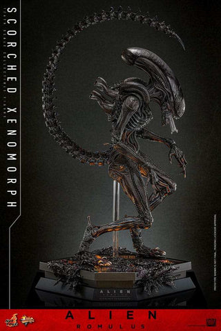 Alien: Romulus Movie Masterpiece Actionfigur 1/6 Scorched Xenomorph 44 cm HOT TOYS