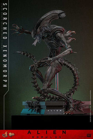 Alien: Romulus Movie Masterpiece Actionfigur 1/6 Scorched Xenomorph 44 cm HOT TOYS