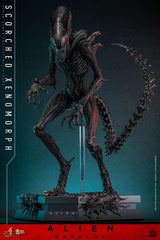 Alien: Romulus Movie Masterpiece Actionfigur 1/6 Scorched Xenomorph 44 cm HOT TOYS