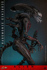 Alien: Romulus Movie Masterpiece Actionfigur 1/6 Scorched Xenomorph 44 cm HOT TOYS