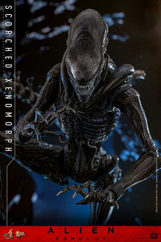 Alien: Romulus Movie Masterpiece Actionfigur 1/6 Scorched Xenomorph 44 cm HOT TOYS