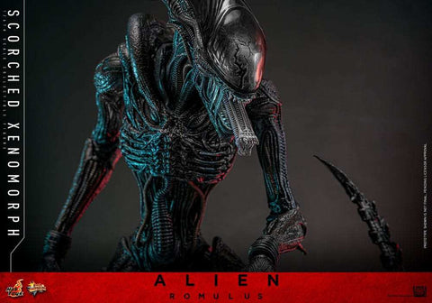 Alien: Romulus Movie Masterpiece Actionfigur 1/6 Scorched Xenomorph 44 cm HOT TOYS