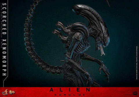 Alien: Romulus Movie Masterpiece Actionfigur 1/6 Scorched Xenomorph 44 cm HOT TOYS