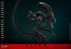 Alien: Romulus Movie Masterpiece Actionfigur 1/6 Scorched Xenomorph 44 cm HOT TOYS