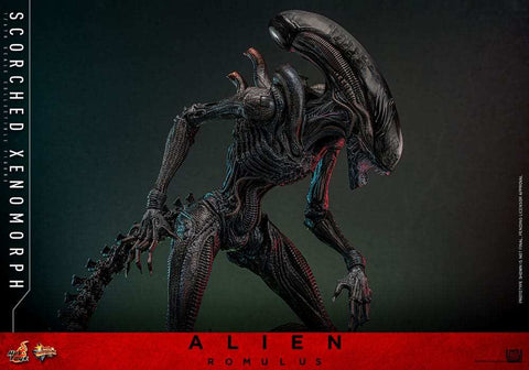 Alien: Romulus Movie Masterpiece Actionfigur 1/6 Scorched Xenomorph 44 cm HOT TOYS