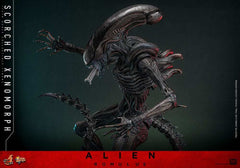 Alien: Romulus Movie Masterpiece Actionfigur 1/6 Scorched Xenomorph 44 cm HOT TOYS